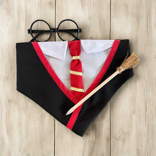 Dog Potter Pet Costume