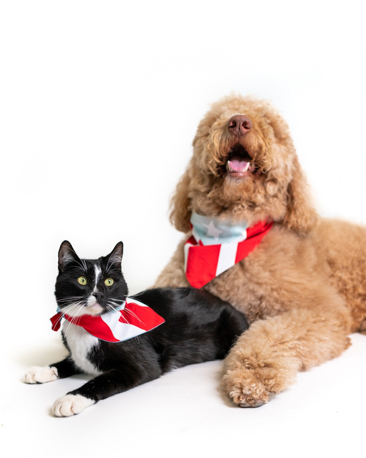 Puerto Rico Pet Bandana