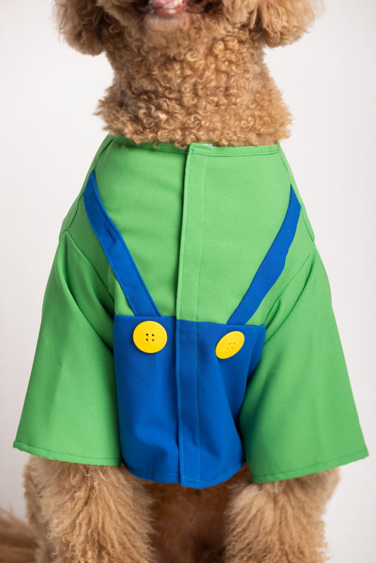 Luigi Pet Costume