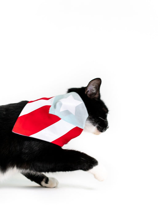 Puerto Rico Pet Bandana