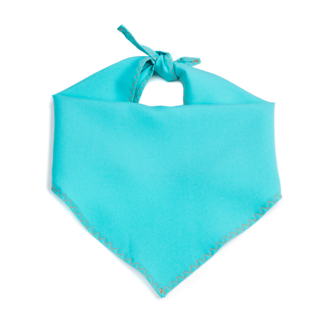 Personalize your Pets Bandana