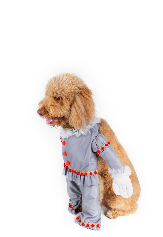 Creepy Clown Pet Costume