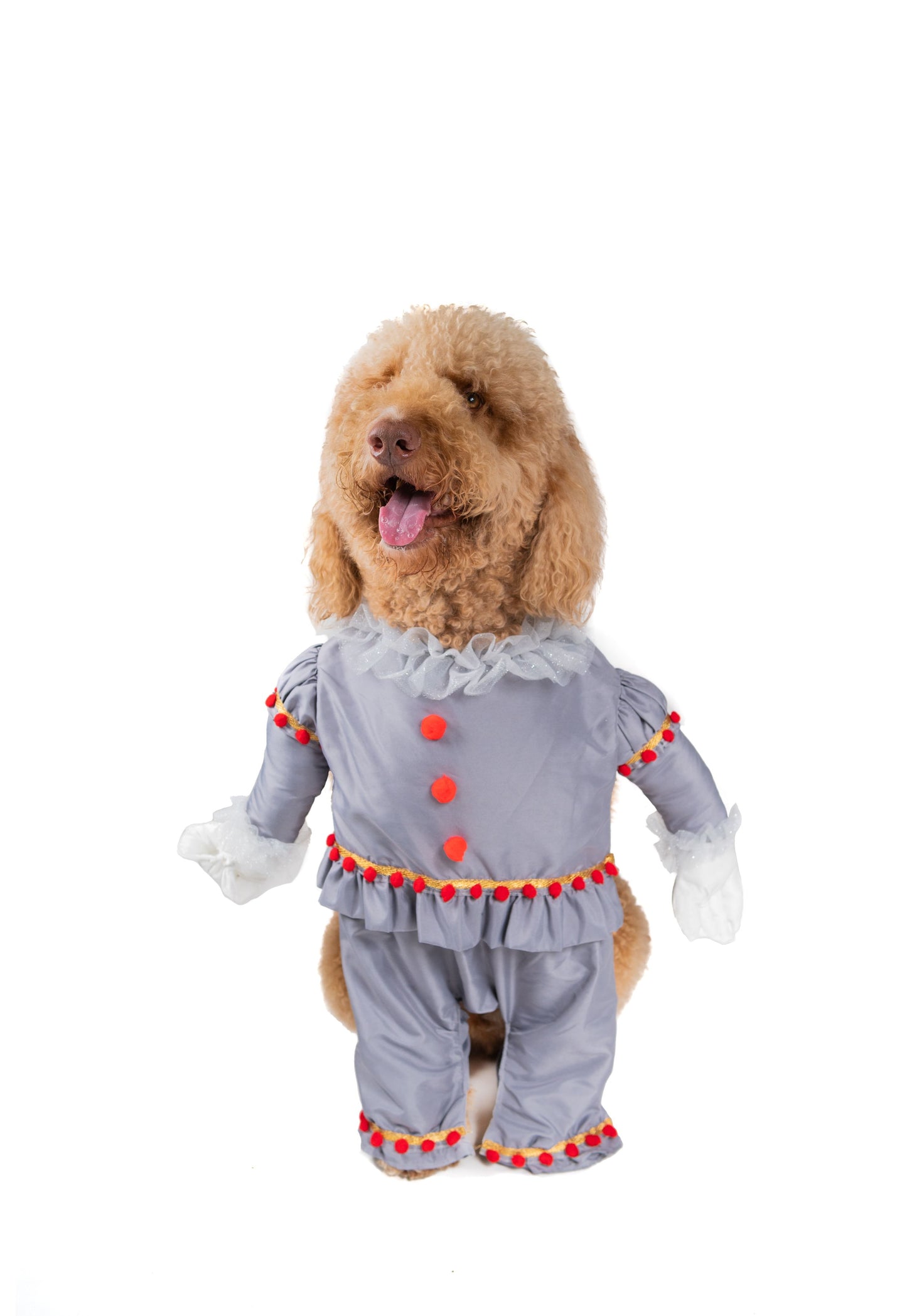 Creepy Clown  Pet Costume