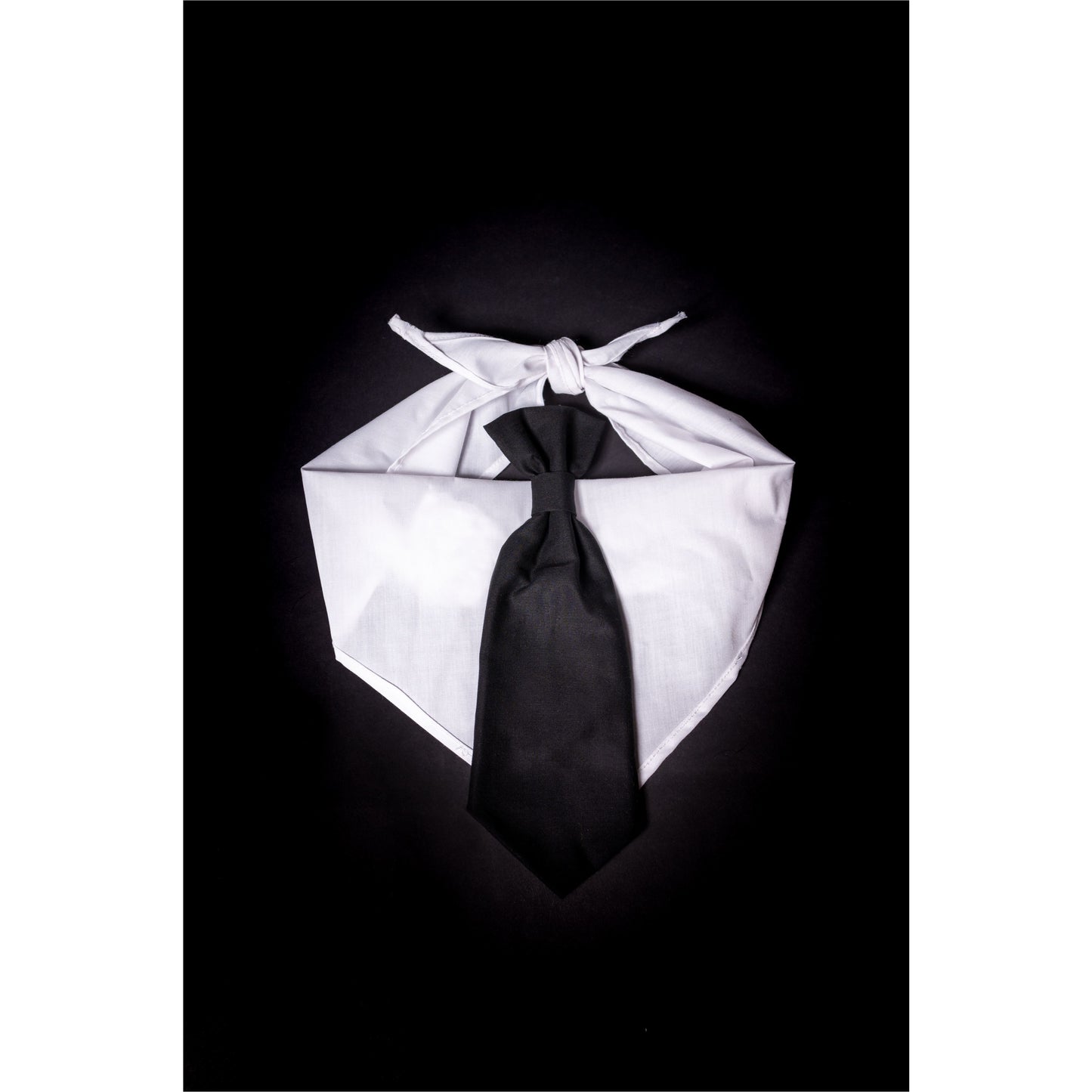 Doodlegeuse Pet Costume