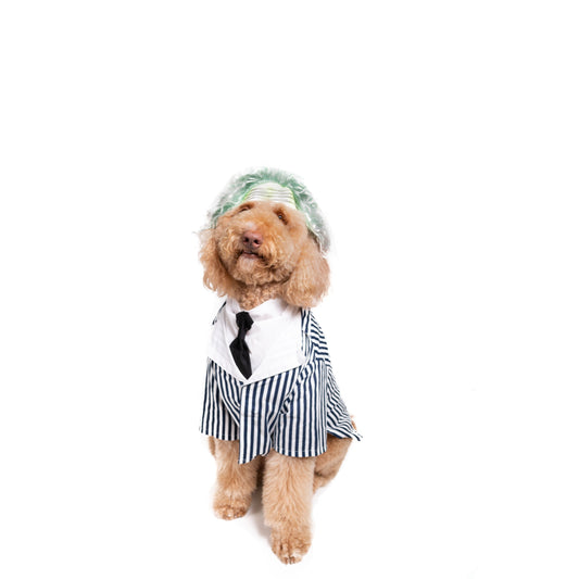 Doodlegeuse Pet Costume
