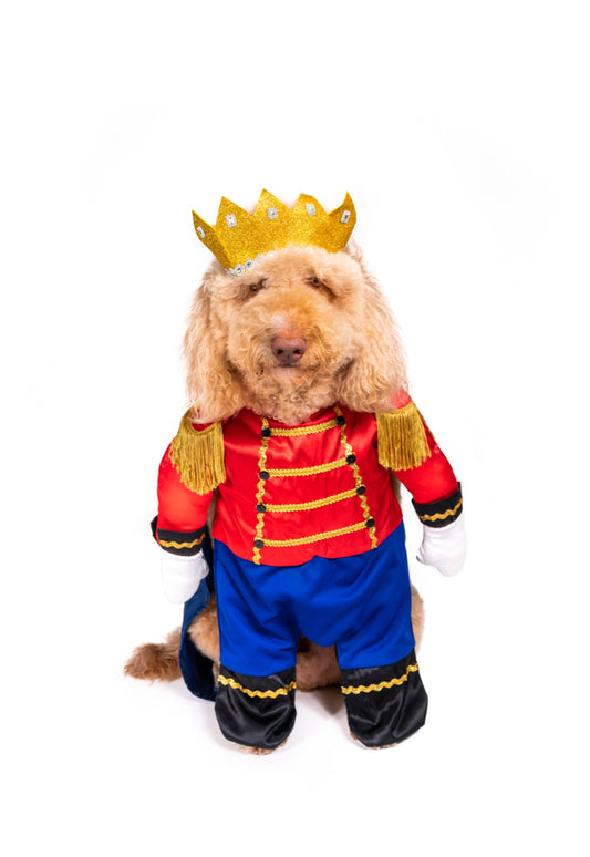 Charming Prince Pet Costume