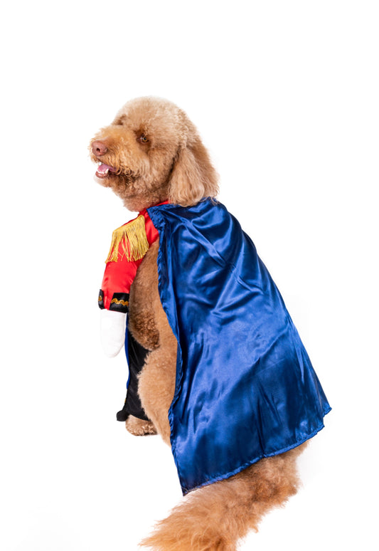 Charming Prince Pet Costume