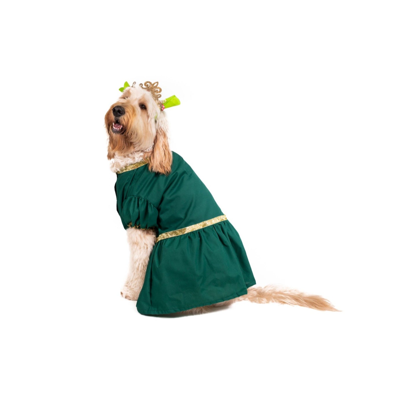 Ogre Princess Pet Costume
