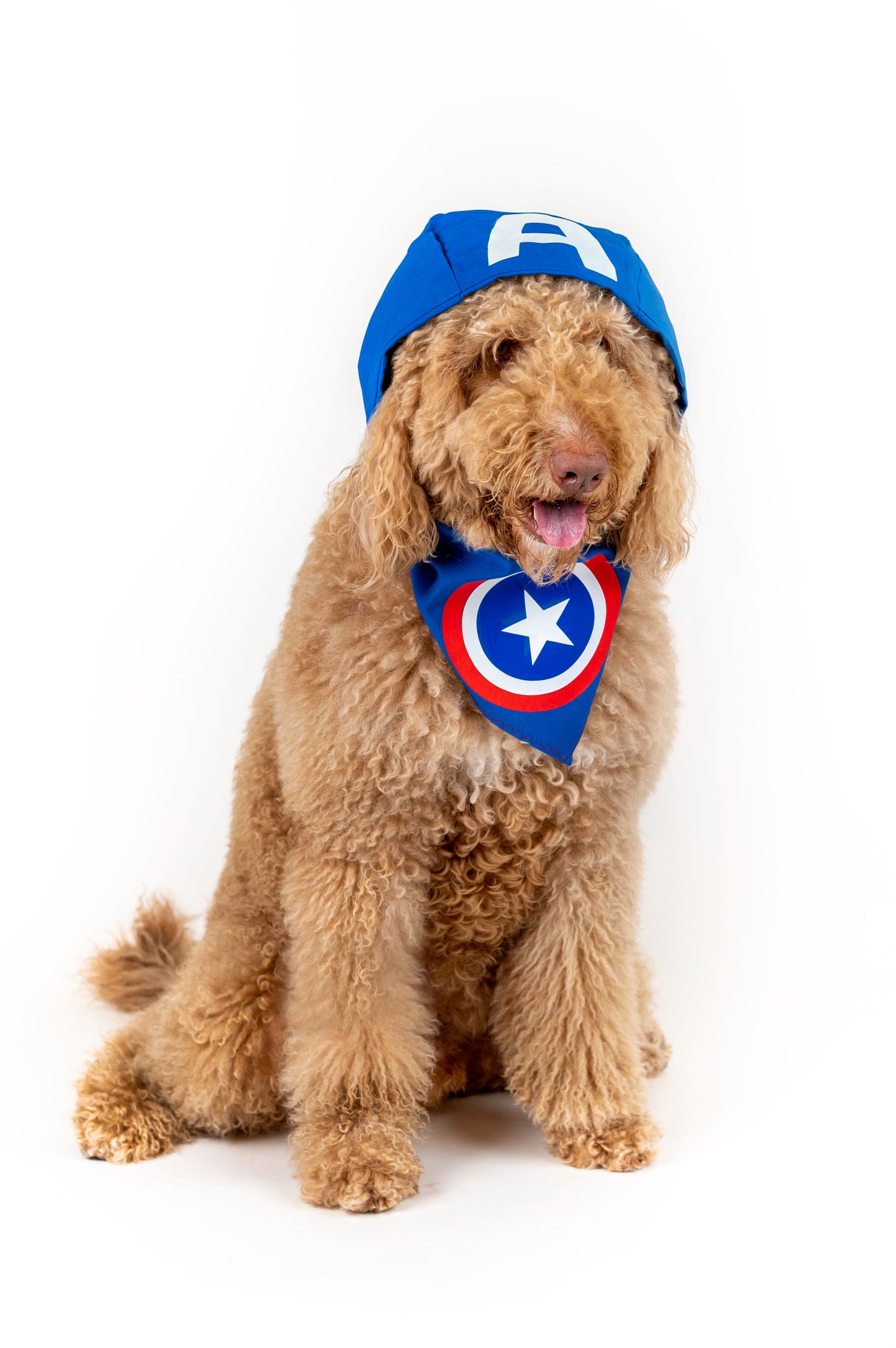 Pawptain America Pet Bandana