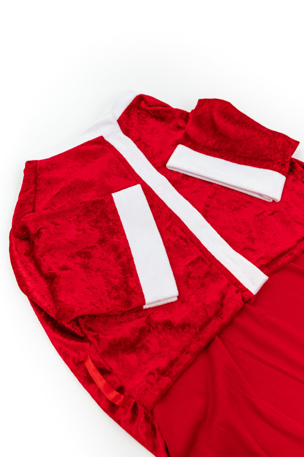 Santa Claus Xmas Pet Costume