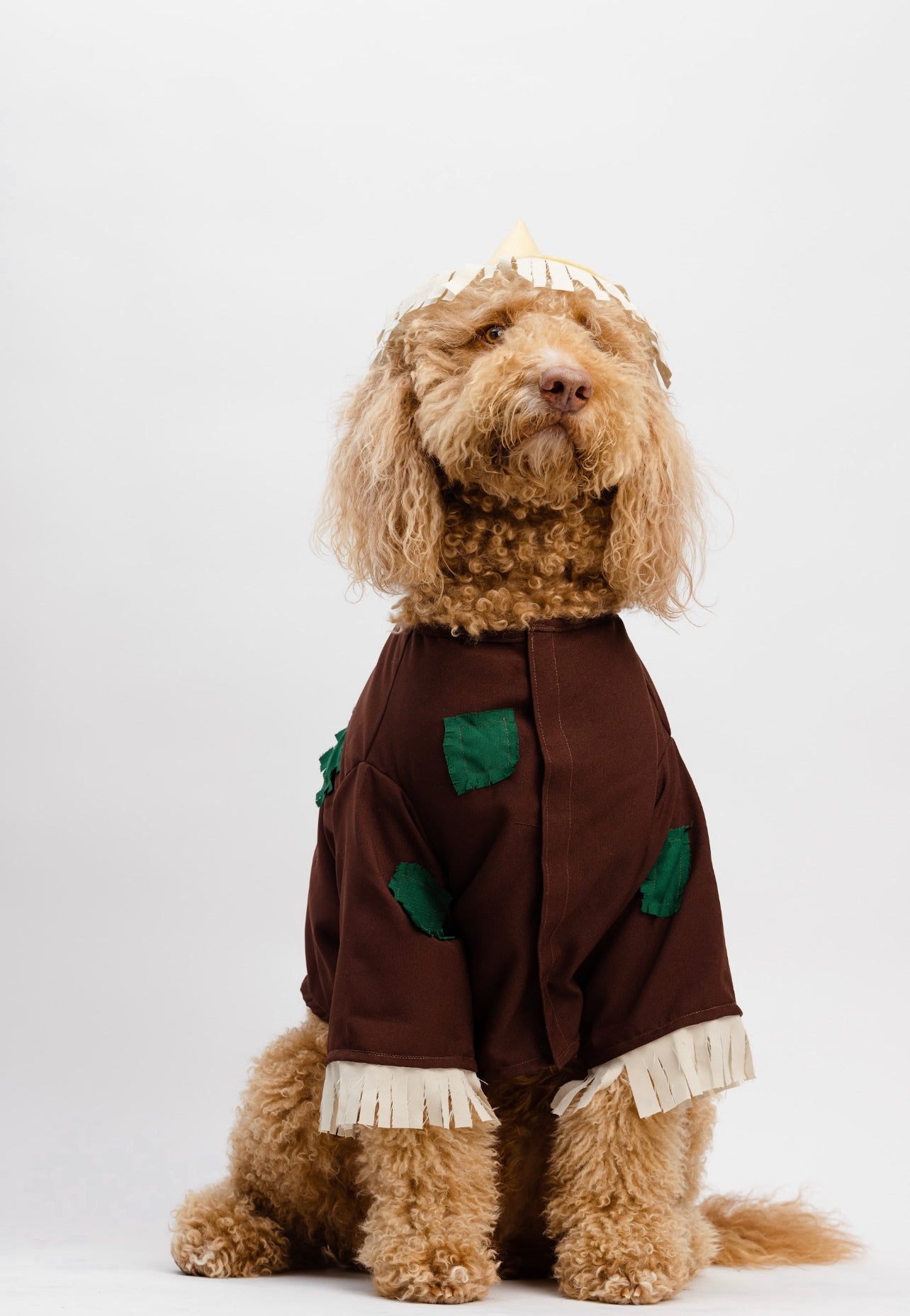 Scarecrow Pet Costume