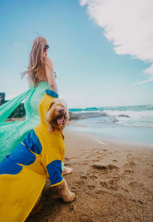 Flounder Pet Custome