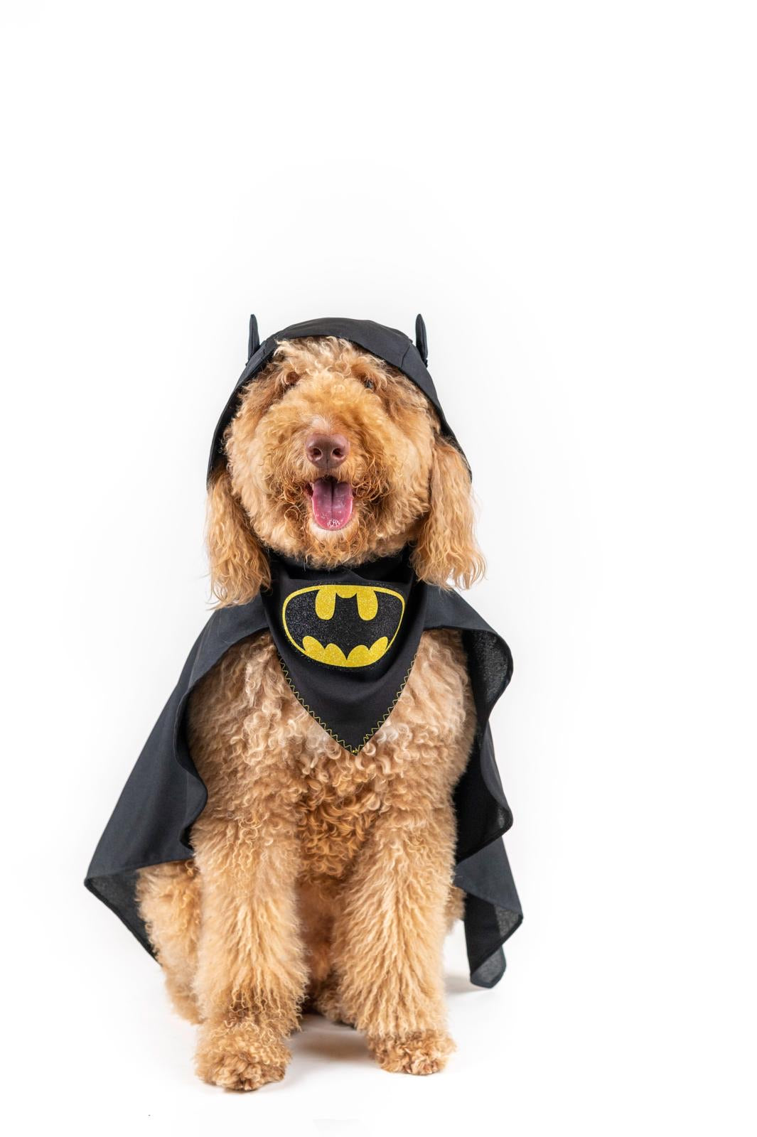 Batman Pet Bandana by enJoy Pet Atelier
