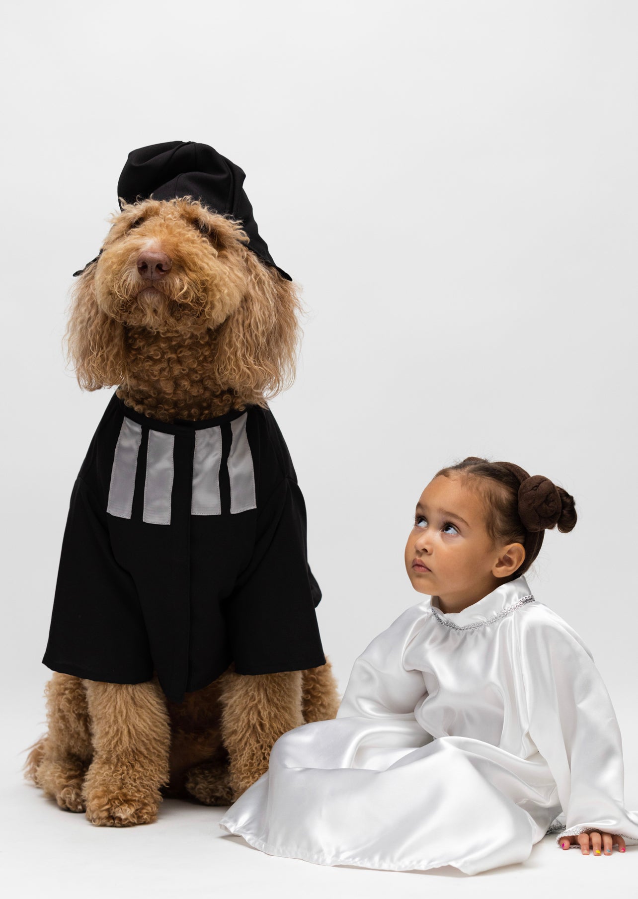 Darth Vadet Pet Costume