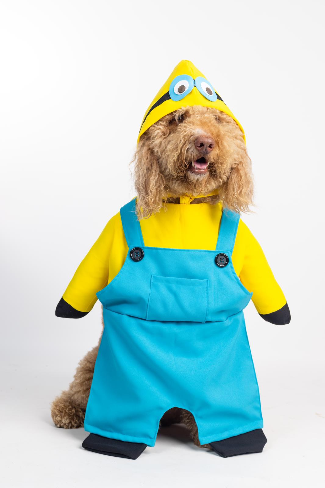 Minions Pet Custome