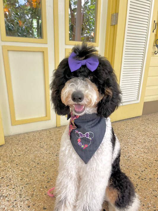 Bandana Ms. Minnie 2-in-1