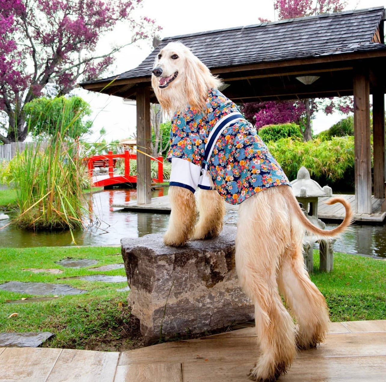 Make Your Own Costume