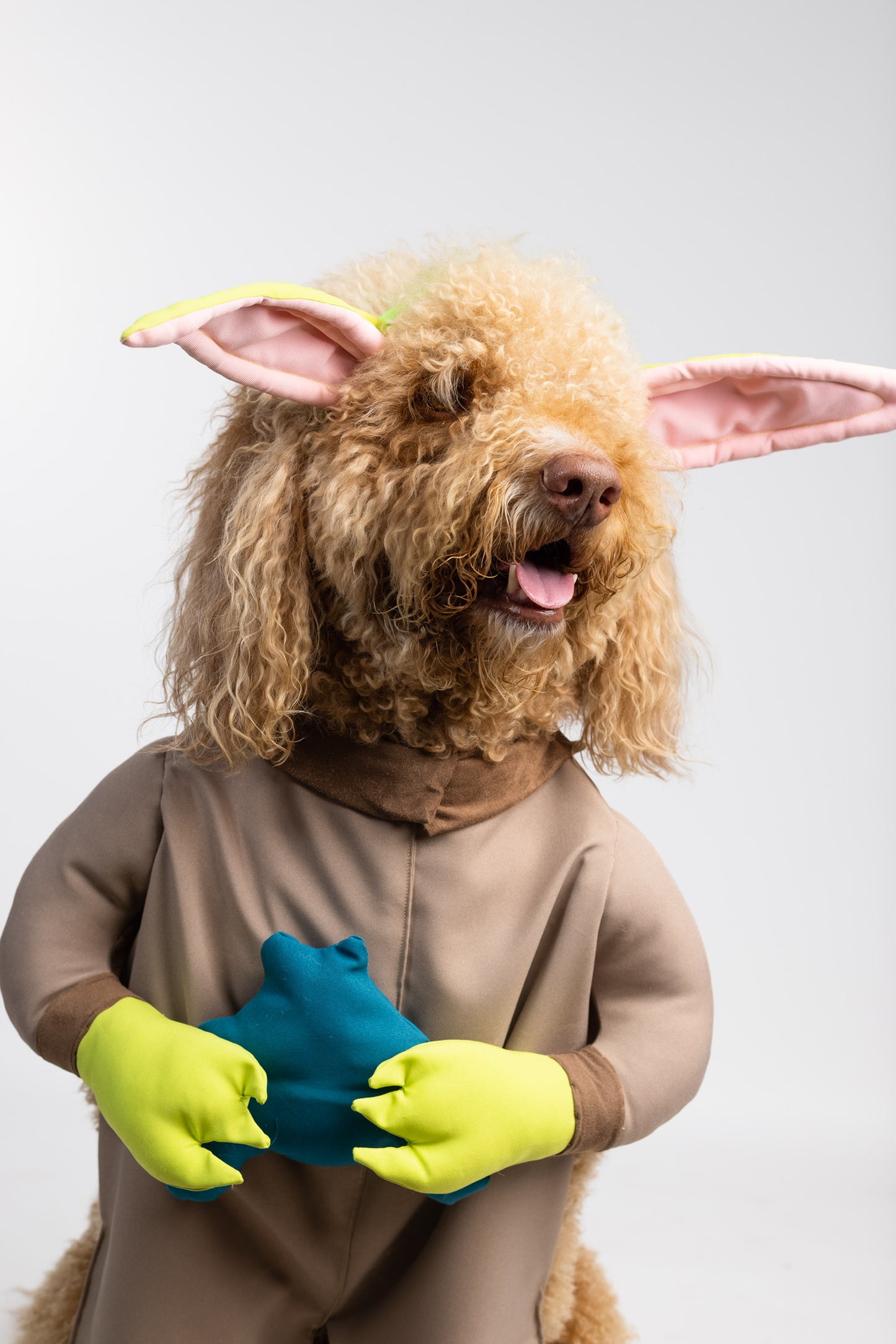 Paw The Child Pet Costume