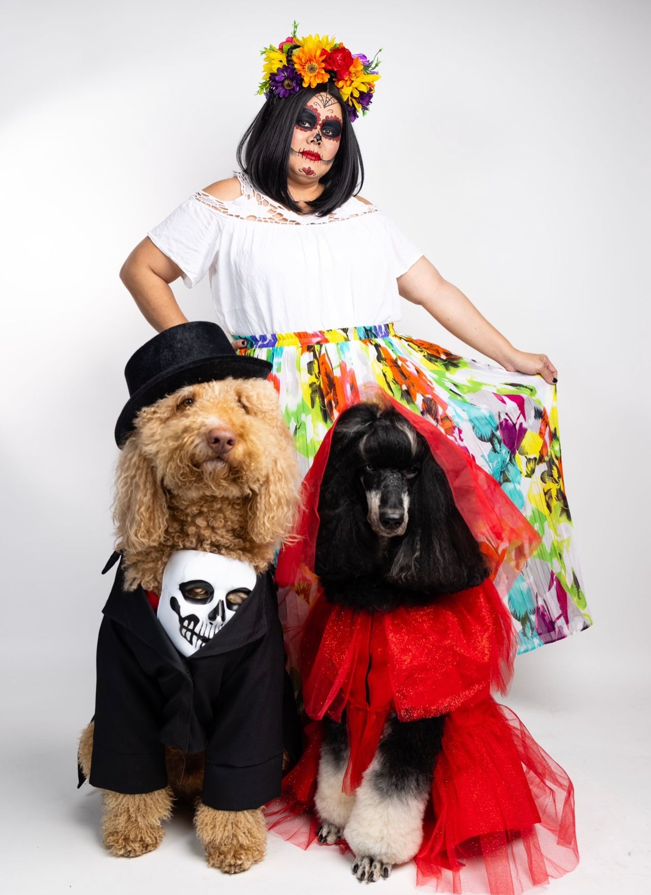 Esqueleton Pet Custome