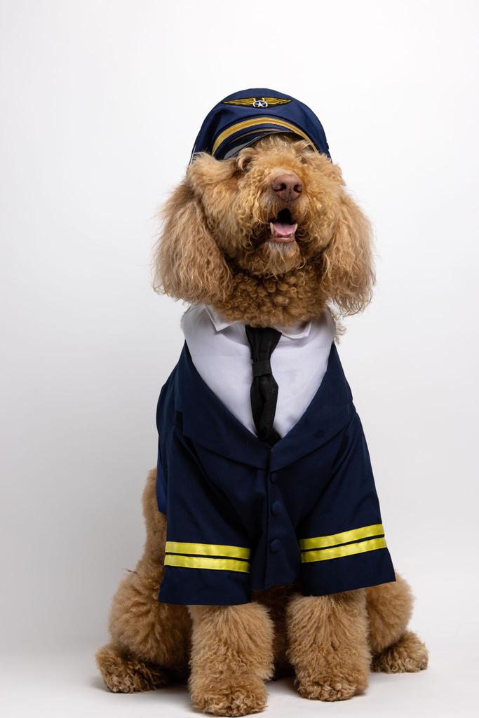 Plane Pilot Costume - Main Image