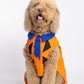Fred Flinststone Pet Custome