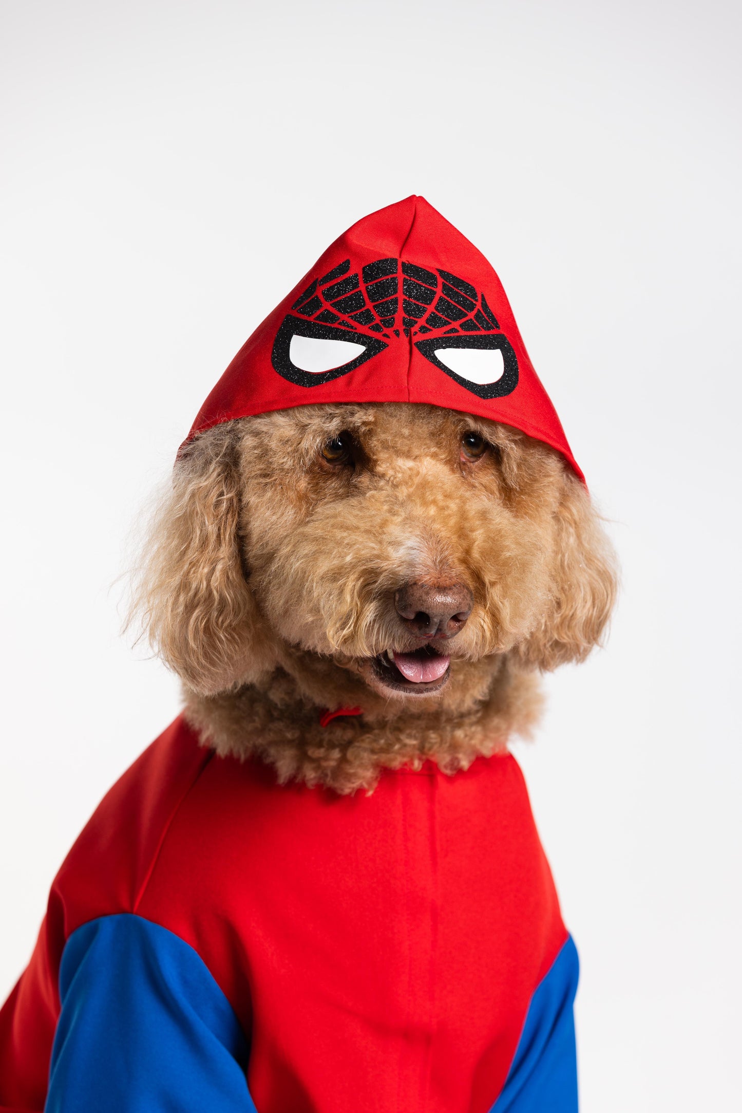 Spawderman