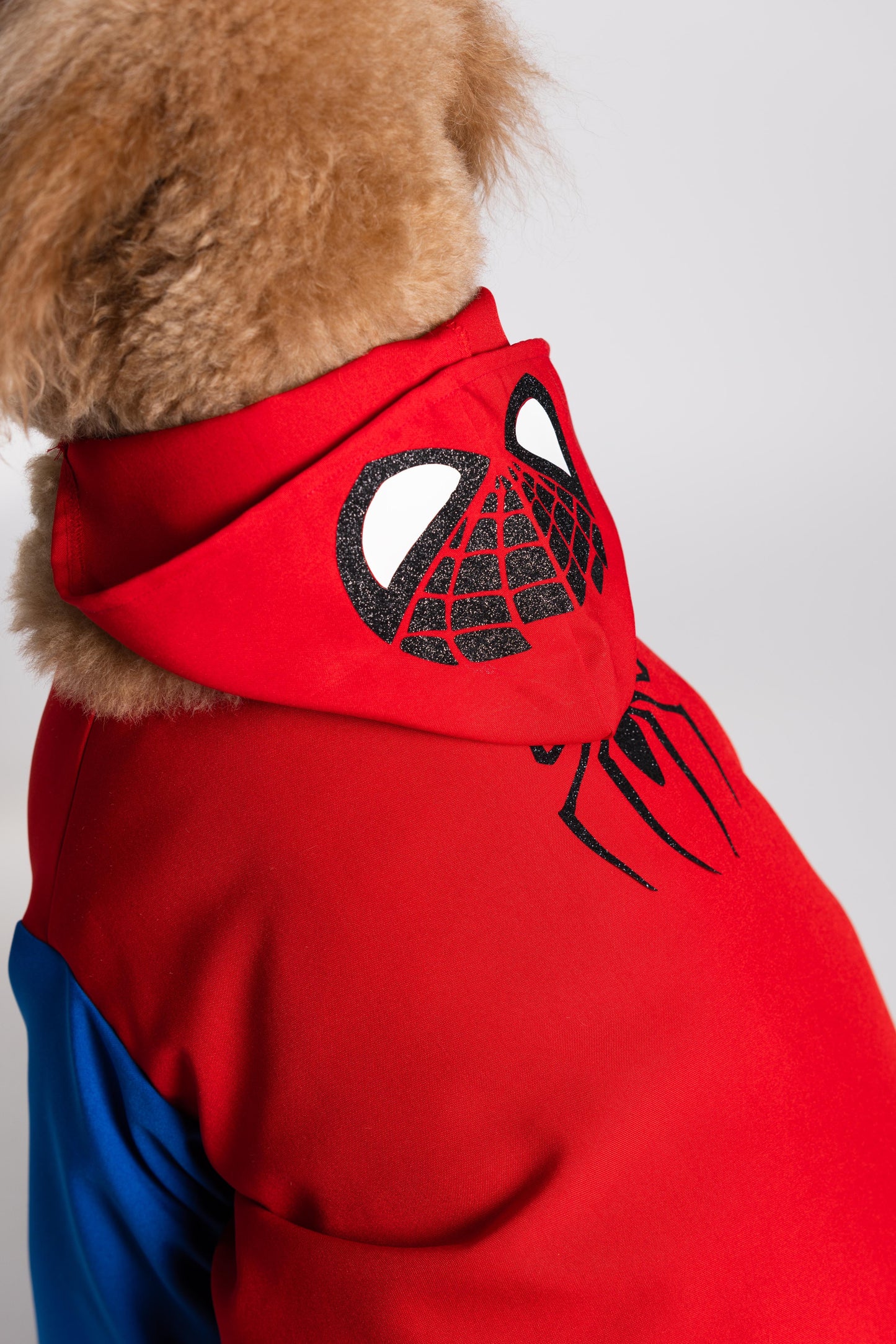 Spawderman