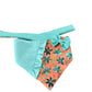 Paw-Set Primavera
