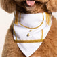 Prince Joy Charming