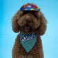 Ken Bandana