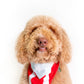 Puerto Rico Pet Bandana