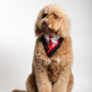Dog Potter Pet Costume