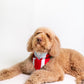 Puerto Rico Pet Bandana