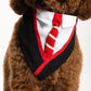 Dog Potter Pet Costume