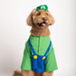 Luigi Pet Costume