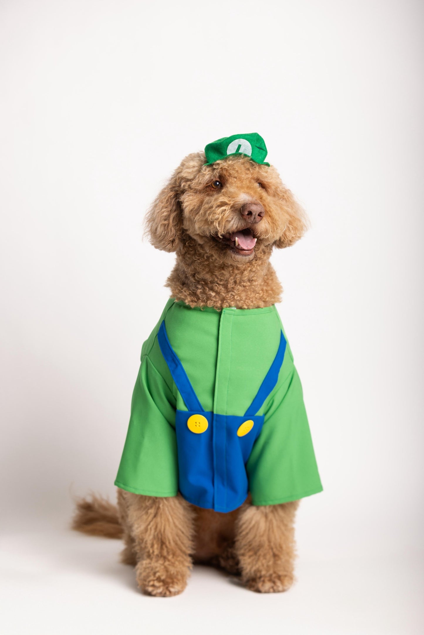 Luigi Pet Costume
