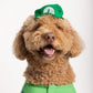 Luigi Pet Costume