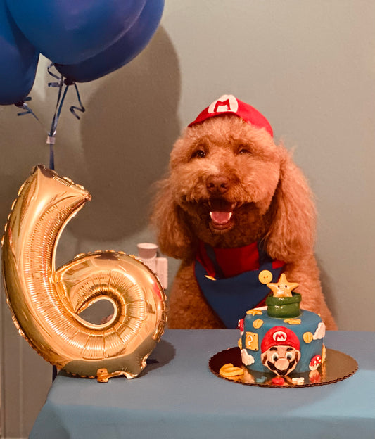 Bandana Mario