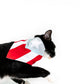 Puerto Rico Pet Bandana