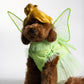 Fairy Pawtie Tale
