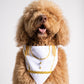 Prince Joy Charming