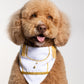 Prince Joy Charming