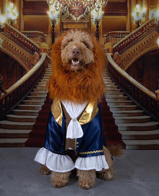 Enchanted Prince