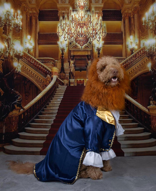 Enchanted Prince