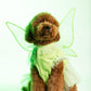 Fairy Pawtie Tale
