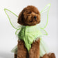 Fairy Pawtie Tale