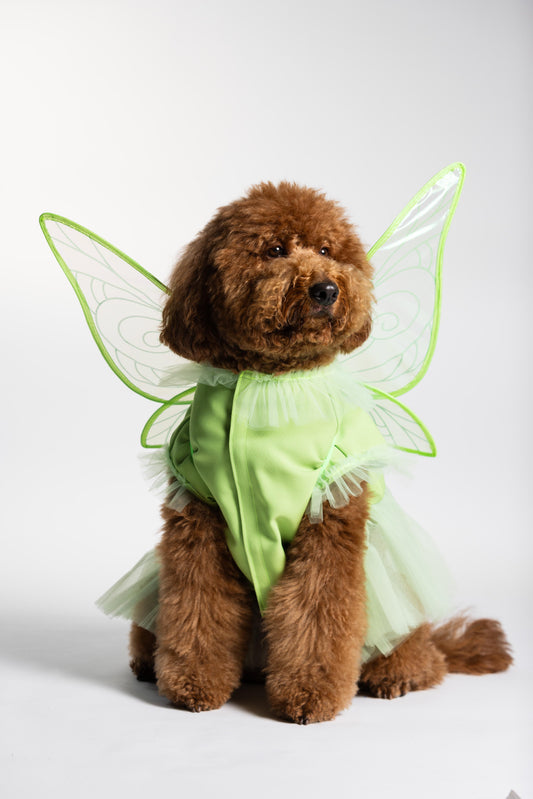 Fairy Pawtie Tale