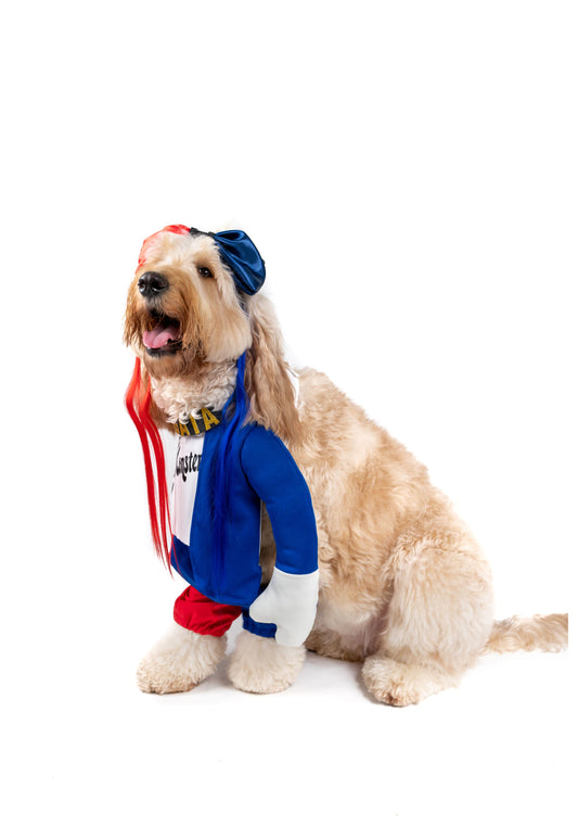 Pawrley Quinn Pet Costume