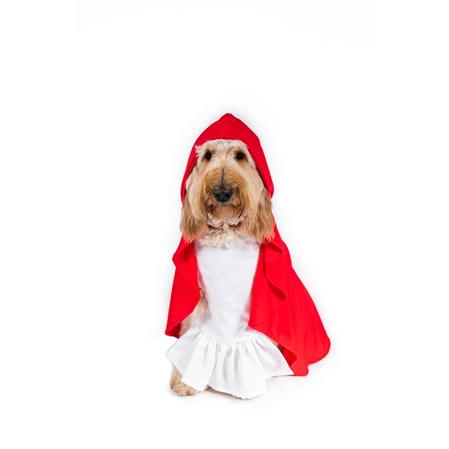 Little Red Ridding hood Pet Costume