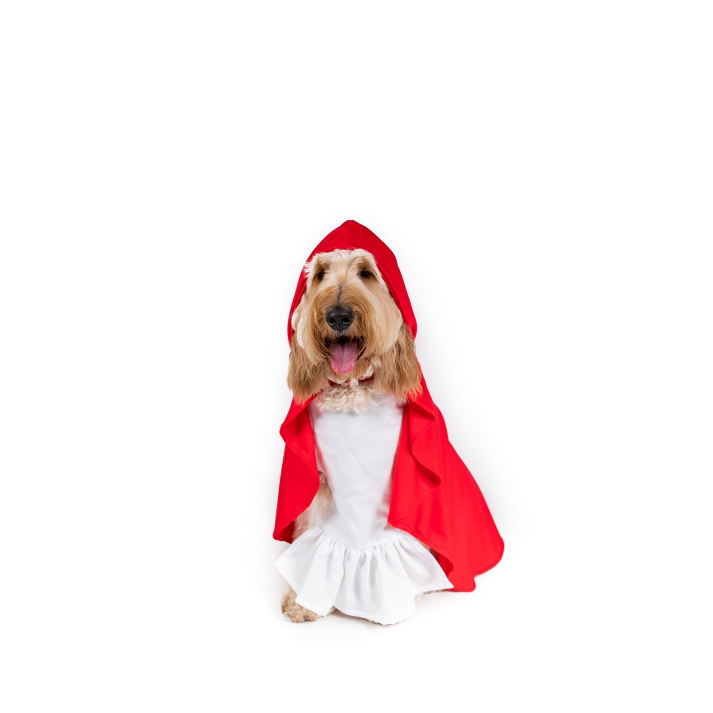 Little Red Ridding hood Pet Costume